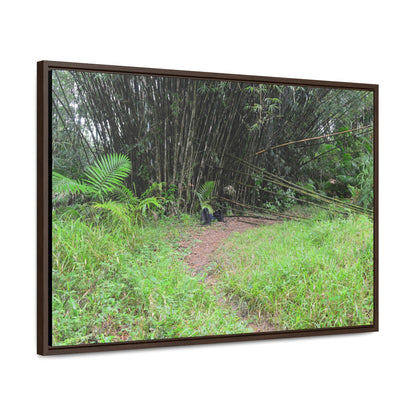 Rainforest Trails & Views - Gallery Canvas Wraps, Horizontal Frame - El Yunque National Forest - Puerto Rico - Path in camping zone near peaks - Green Forest Home
