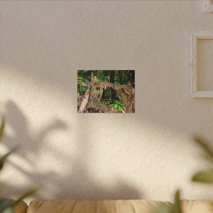 Tropical Rainforest Canvas Print — Lush Jungle Nature Wall Art - El Yunque Rainforest - Puerto Rico - Deep forest explorations - fallen tree