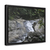 Rainforest Trails & Views - Gallery Canvas Wraps, Horizontal Frame - El Yunque National Forest - Puerto Rico - Nice ponds above the bridge and next toi Rio Sabana Park camping grounds - Green Forest Home