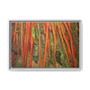 Framed Matte Canvas Wall Art — Tropical Rainforest Roots Photography -Orange roots of the Sierra Palm tree - Nikon