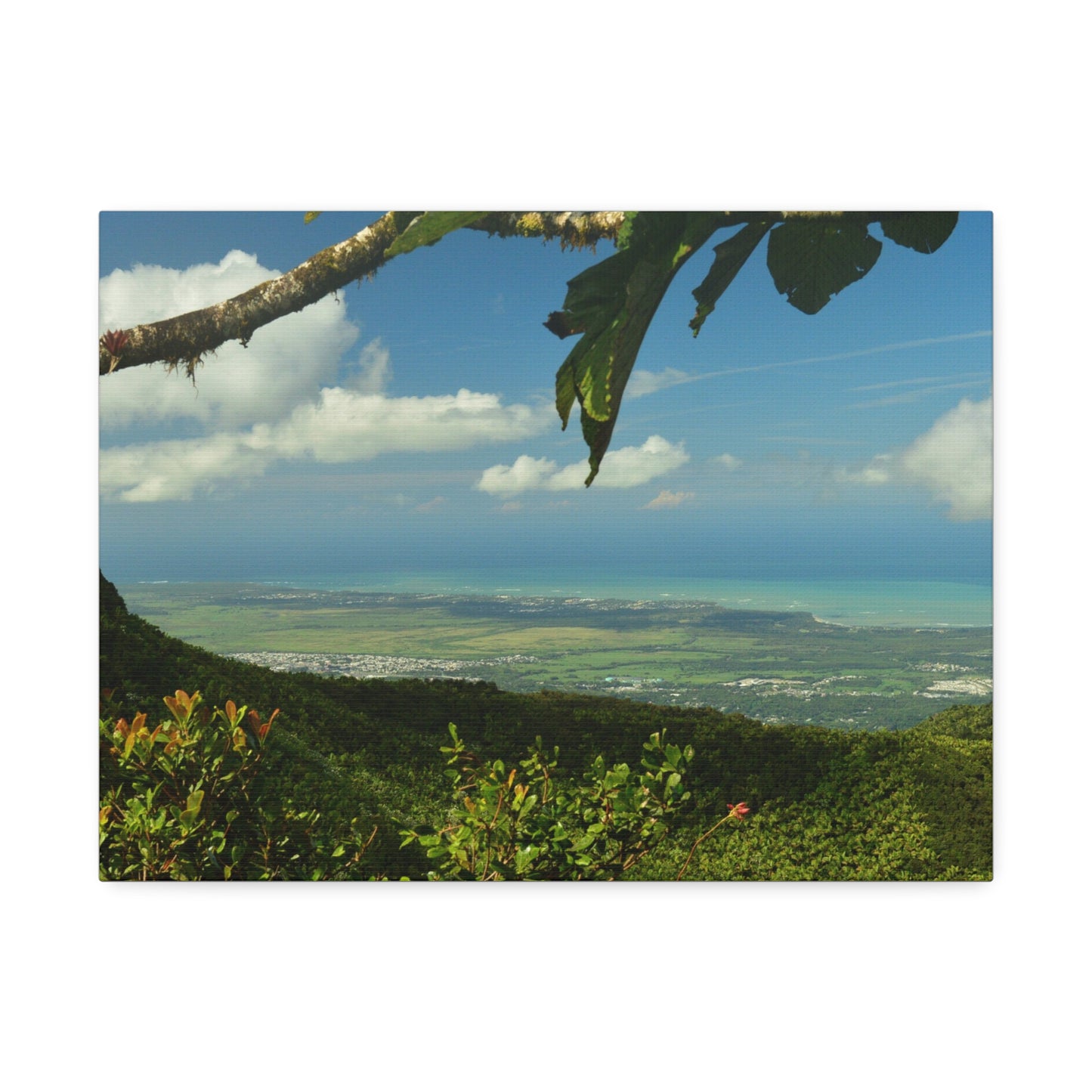 Tropical Vista Canvas Print —Awesome view from Tres Picachos Peak -  Stretched 1.5" Wall Art