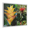 Tropical Vista Matte Canvas Framed Wall Art - Forest explorations - Deep in El Yunque rainforest PR - Mosaic#1 of the Flowers of El Yunque rainforest