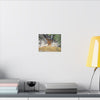 Rust-Tinged Creek Canvas Print — Natural Stream Landscape Wall Art - Tributary with decomposing matter orange color -  Deep forest explorations