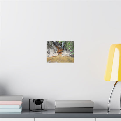 Rust-Tinged Creek Canvas Print — Natural Stream Landscape Wall Art - Tributary with decomposing matter orange color -  Deep forest explorations