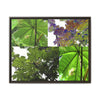 Tropical Vista Matte Canvas Framed Wall Art - Forest explorations - Deep in El Yunque rainforest PR - Mosaic#3 of the Unique Yagrumo Tree Leafs