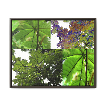 Tropical Vista Matte Canvas Framed Wall Art - Forest explorations - Deep in El Yunque rainforest PR - Mosaic#3 of the Unique Yagrumo Tree Leafs