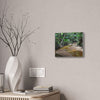Deep Forest Explorations - El Yunque Holy Spirit River - Nikon D850 - Tropical Creek Canvas Print — Lush Rainforest River Wall Art