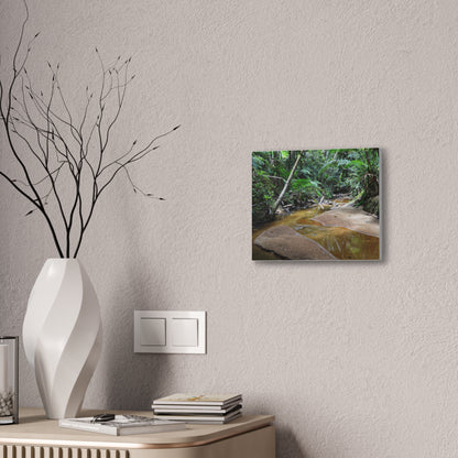 Deep Forest Explorations - El Yunque Holy Spirit River - Nikon D850 - Tropical Creek Canvas Print — Lush Rainforest River Wall Art