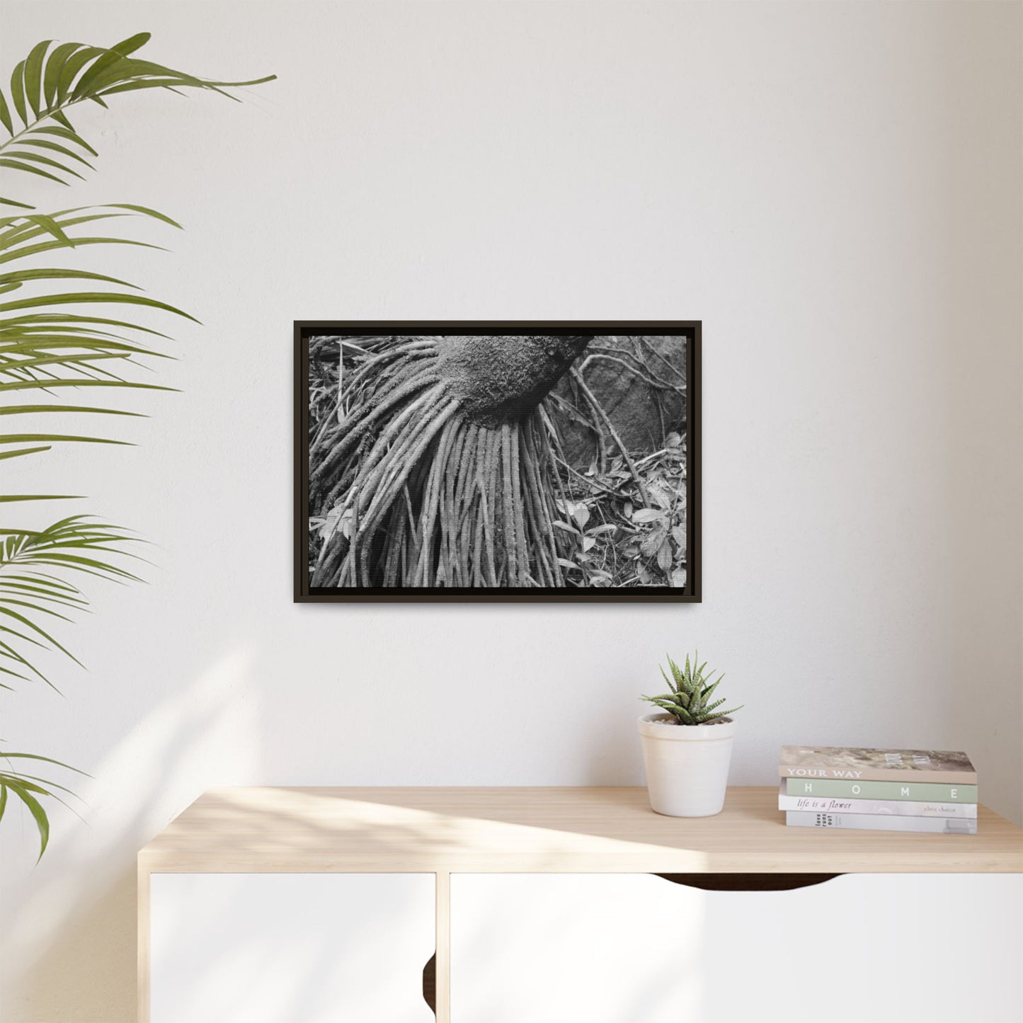 Framed Matte Canvas Wall Art — Tropical Rainforest Roots Photography - B&W roots of the Sierra Palm tree - Nikon