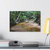 Deep Forest Explorations - El Yunque Holy Spirit River - Nikon D850 - Tropical Creek Canvas Print — Lush Rainforest River Wall Art