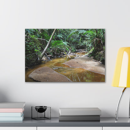 Deep Forest Explorations - El Yunque Holy Spirit River - Nikon D850 - Tropical Creek Canvas Print — Lush Rainforest River Wall Art