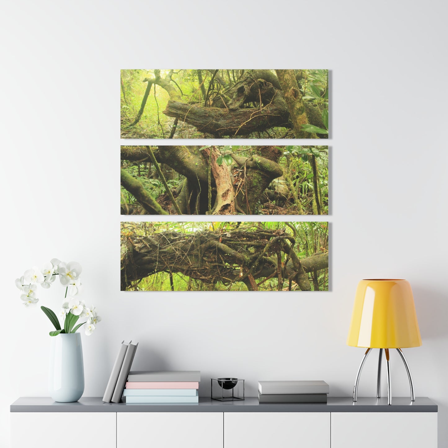 El Yunque Rainforest - Truly Weird Trees of the Deep Forest - Nikon D850 - Triptych Acrylic Print – Forest Creek Landscape Wall Art