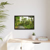 Tropical Vista Matte Canvas Framed Wall Art — Lush Mountain road the PR 191 High forest - El Yunque rainforest PR