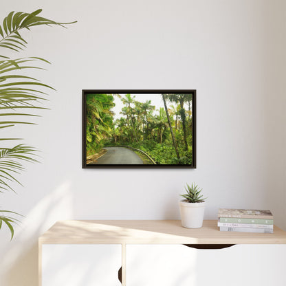 Tropical Vista Matte Canvas Framed Wall Art — Lush Mountain road the PR 191 High forest - El Yunque rainforest PR