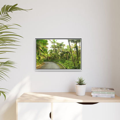 Tropical Vista Matte Canvas Framed Wall Art — Lush Mountain road the PR 191 High forest - El Yunque rainforest PR
