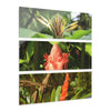 Deep Forest Explorations - Rare Flowers of El Yunque RainForest  - Nikon D850 - Tropical Mountains Triptych Acrylic Print – Panoramic Jungle & Ocean Wall Art