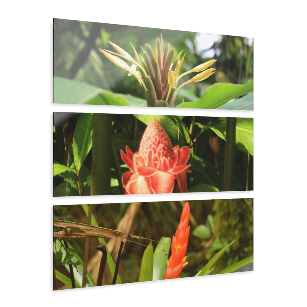 Deep Forest Explorations - Rare Flowers of El Yunque RainForest  - Nikon D850 - Tropical Mountains Triptych Acrylic Print – Panoramic Jungle & Ocean Wall Art