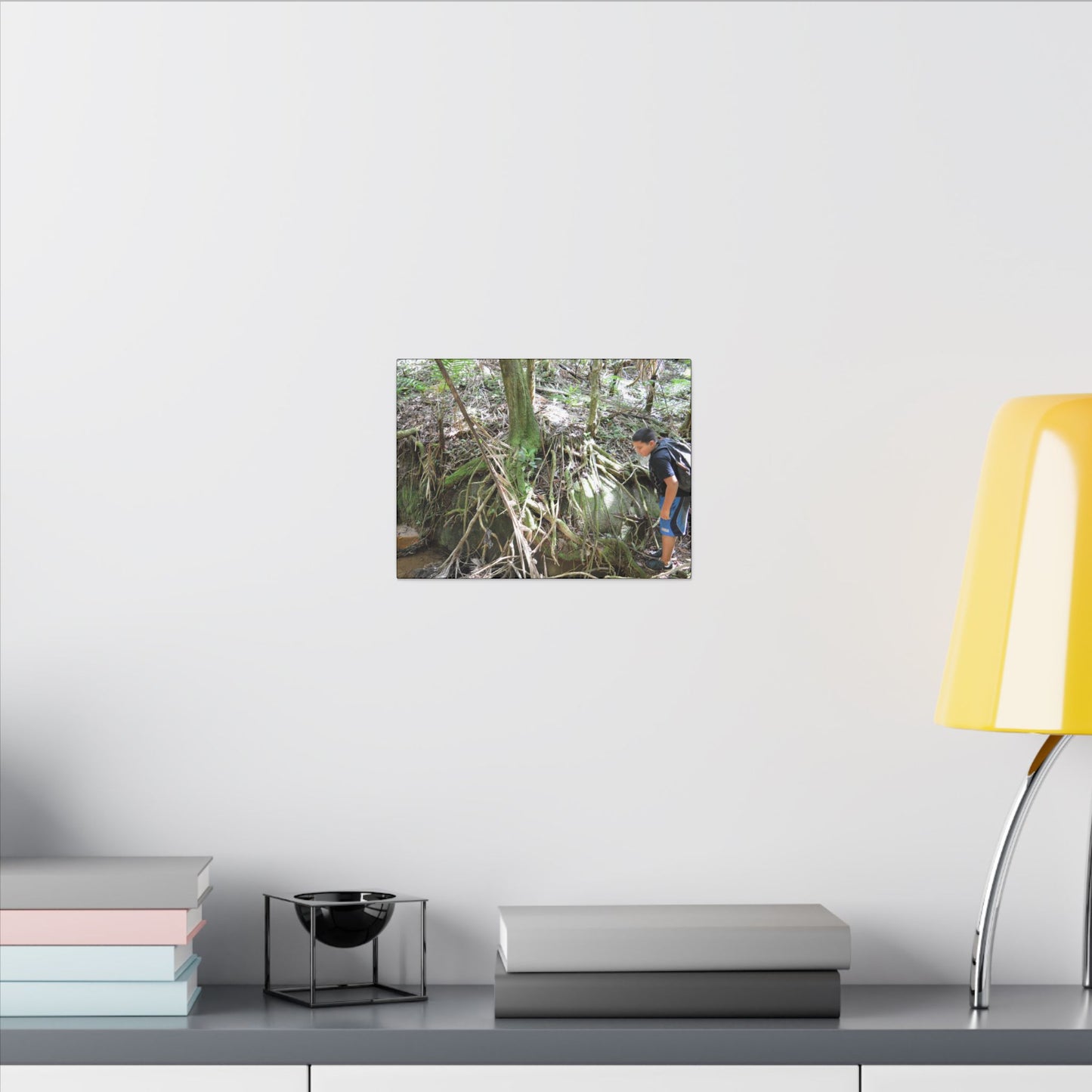 Forest Stream Adventure Matte Canvas Print — Boy Exploring Tree Roots Wall Art - Jose looks at the river - Tree has roots all over - Note the little sunlight