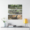 Deep Forest Explorations - Pristine Rio Sabana Nature Art - El Yunque RainForest  - Nikon D850 - Tropical Rivers Triptych Acrylic Print – Panoramic Jungle Wall Aert