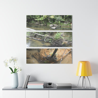 Deep Forest Explorations - Pristine Rio Sabana Nature Art - El Yunque RainForest  - Nikon D850 - Tropical Rivers Triptych Acrylic Print – Panoramic Jungle Wall Aert