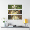 Yagrumo and other Decomposing Leaves Art- El Yunque - Nikon D850 - Triptych Acrylic Print – Forest Wall Art