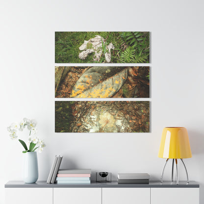 Yagrumo and other Decomposing Leaves Art- El Yunque - Nikon D850 - Triptych Acrylic Print – Forest Wall Art