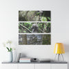Green Lizard, Bird with modified colors and Decomposing Tree Art - El Yunque - Nikon D850 - Triptych Acrylic Print – Forest Wall Art