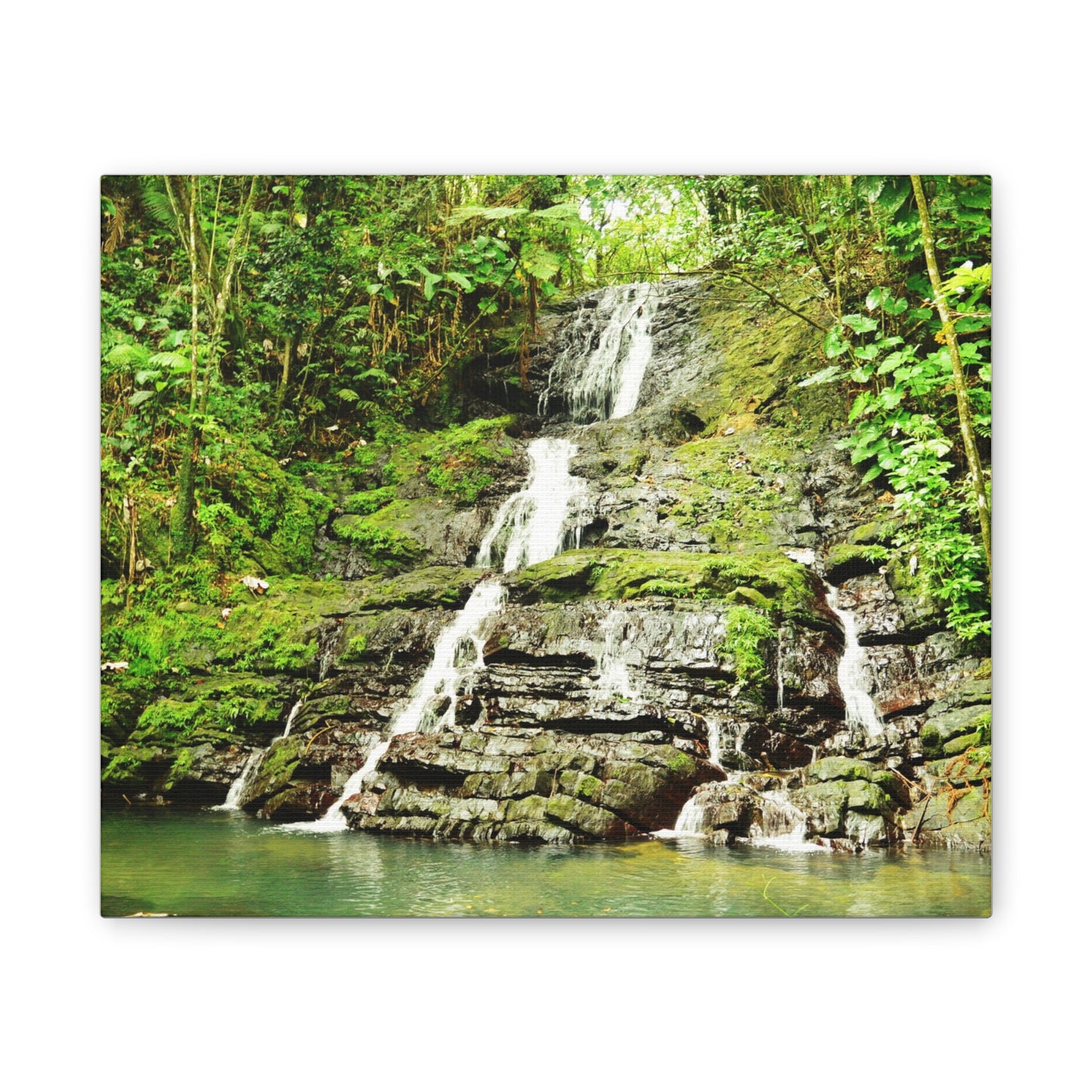Tropical Waterfall Canvas Wall Art — Lush Jungle Landscape Print