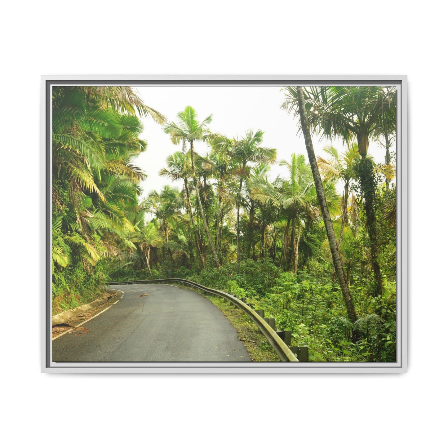 Tropical Vista Matte Canvas Framed Wall Art — Lush Mountain road the PR 191 High forest - El Yunque rainforest PR