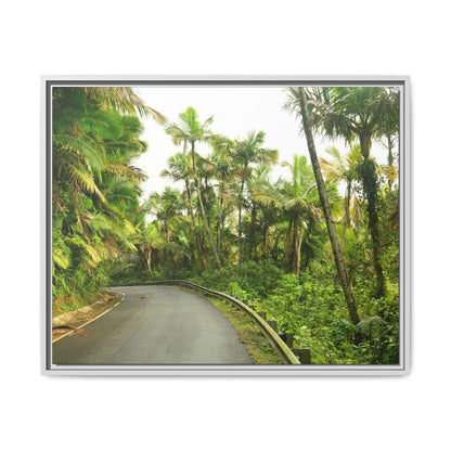 Tropical Vista Matte Canvas Framed Wall Art — Lush Mountain road the PR 191 High forest - El Yunque rainforest PR