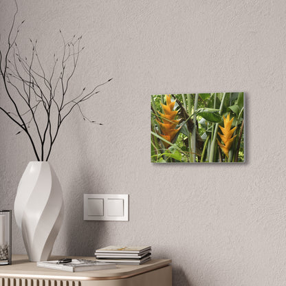 Tropical Heliconia Canvas Print — El Yunque rainforest - Vibrant Jungle Wall Art