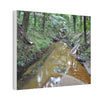 Deep Forest Explorations - El Yunque Holy Spirit River - Nikon D850 - Forest Creek Canvas Print - Stretched 0.75" Nature Wall Art