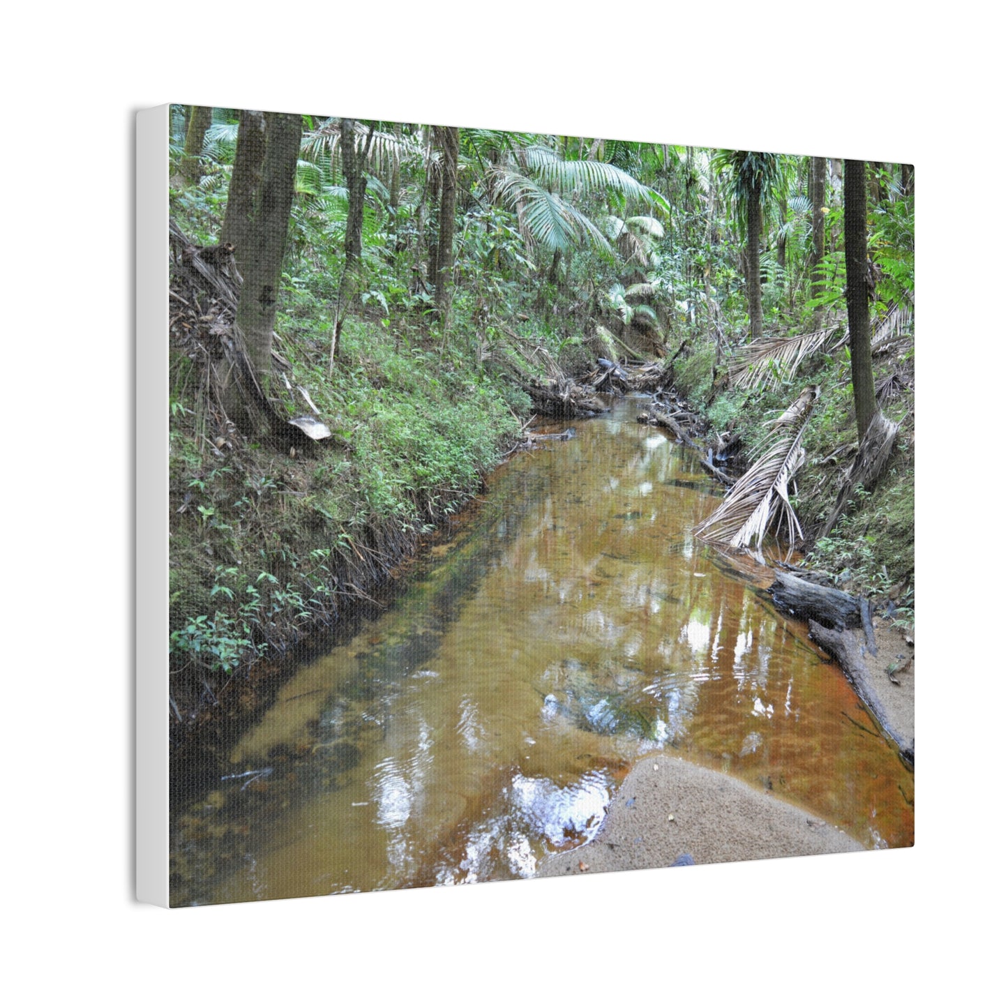 Deep Forest Explorations - El Yunque Holy Spirit River - Nikon D850 - Forest Creek Canvas Print - Stretched 0.75" Nature Wall Art