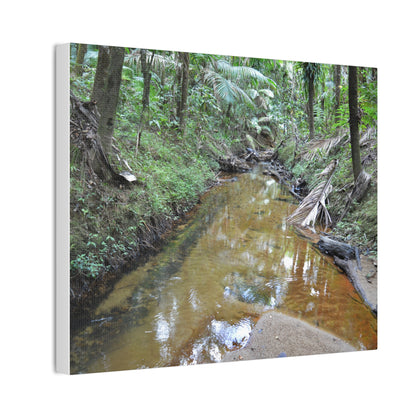 Deep Forest Explorations - El Yunque Holy Spirit River - Nikon D850 - Forest Creek Canvas Print - Stretched 0.75" Nature Wall Art