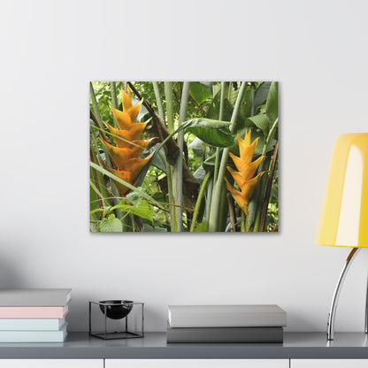 Tropical Heliconia Canvas Print — El Yunque rainforest - Vibrant Jungle Wall Art
