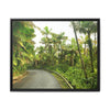 Tropical Vista Matte Canvas Framed Wall Art — Lush Mountain road the PR 191 High forest - El Yunque rainforest PR