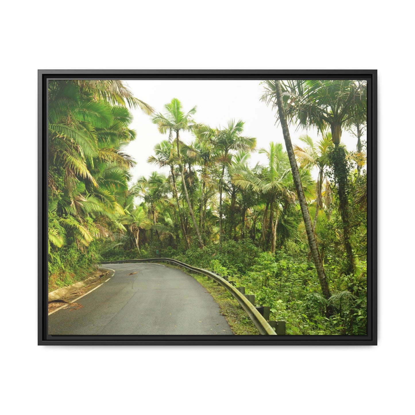 Tropical Vista Matte Canvas Framed Wall Art — Lush Mountain road the PR 191 High forest - El Yunque rainforest PR