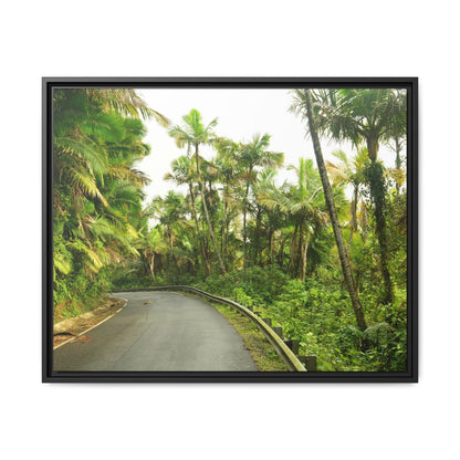 Tropical Vista Matte Canvas Framed Wall Art — Lush Mountain road the PR 191 High forest - El Yunque rainforest PR
