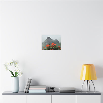 Misty Mountain with Red Flowers Canvas Wall Art — Botanical Landscape Print - Nikon Telephoto from Yokahu Tower - LUCKY day after storm