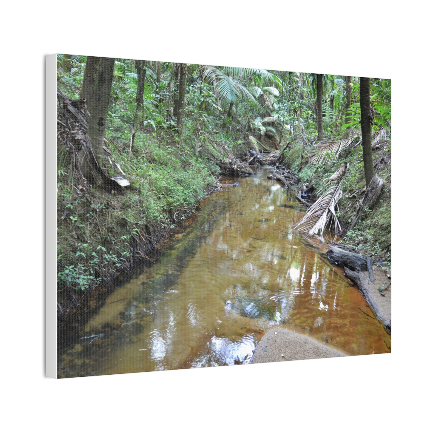 Deep Forest Explorations - El Yunque Holy Spirit River - Nikon D850 - Forest Creek Canvas Print - Stretched 0.75" Nature Wall Art