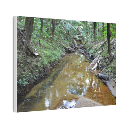 Deep Forest Explorations - El Yunque Holy Spirit River - Nikon D850 - Forest Creek Canvas Print - Stretched 0.75" Nature Wall Art