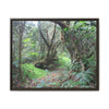 Tropical Vista Matte Canvas Framed Wall Art — Magic section of the remote Tradewinds Trail -  El Yunque rainforest PR