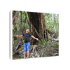Matte Stretched Canvas Wall Art – Tropical Tree Photo Print - Explorer Jose in a deep forest week long in the birth of Espiritu Santo river - huge red tree behind