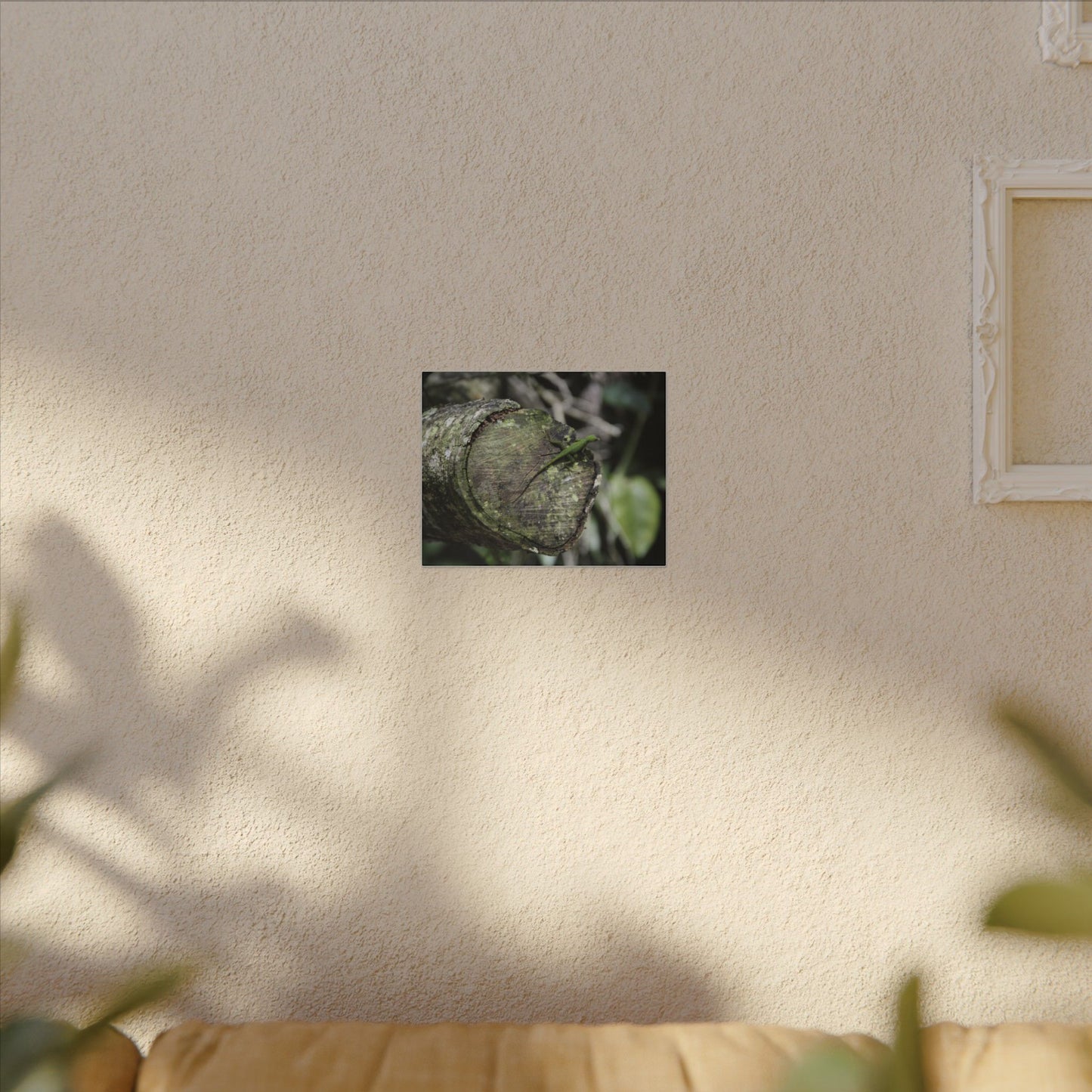 Green Anole on Mossy Log — Matte Stretched Canvas Wall Art - Green Lizard on cut trunk near road - El Yunque Rainforest - Puerto Rico