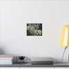 Green Anole on Mossy Log — Matte Stretched Canvas Wall Art - Green Lizard on cut trunk near road - El Yunque Rainforest - Puerto Rico