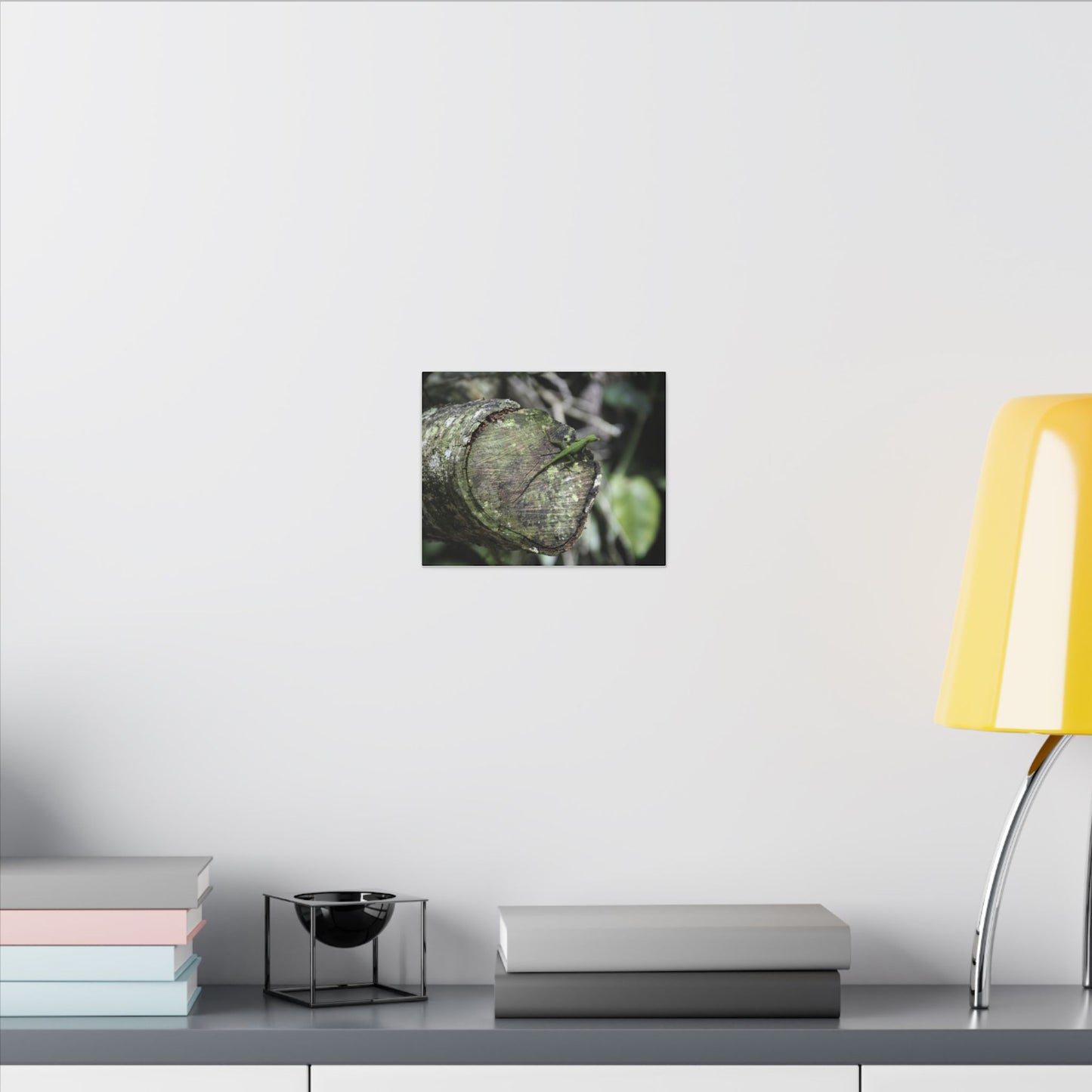 Green Anole on Mossy Log — Matte Stretched Canvas Wall Art - Green Lizard on cut trunk near road - El Yunque Rainforest - Puerto Rico
