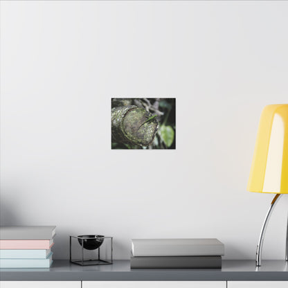 Green Anole on Mossy Log — Matte Stretched Canvas Wall Art - Green Lizard on cut trunk near road - El Yunque Rainforest - Puerto Rico