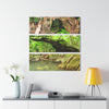 Deep Forest Explorations - Espiritu Santo View from Fallen Tree, Decaying tree and Trail Pond - El Yunque RainForest  - Nikon D850 - Tropical Rivers Triptych Acrylic Print – Panoramic Jungle Wall Aert