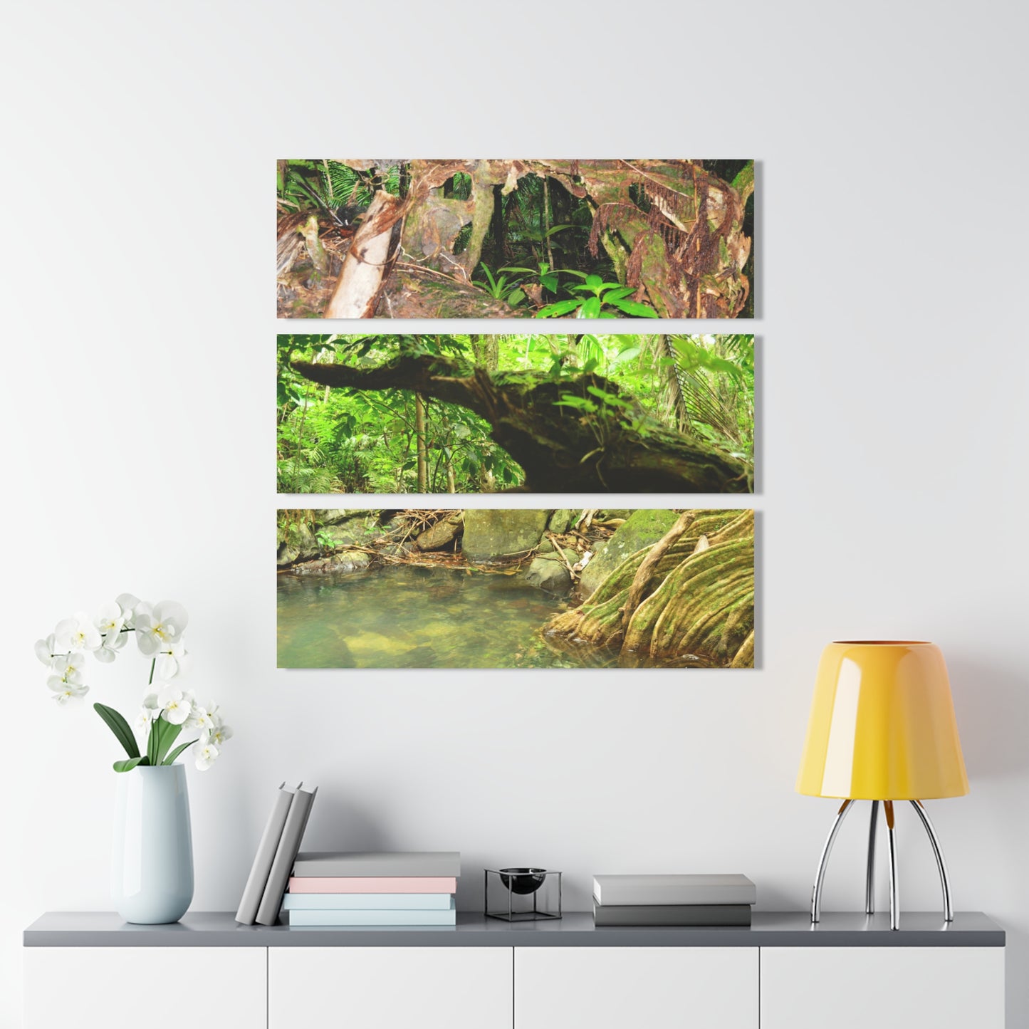 Deep Forest Explorations - Espiritu Santo View from Fallen Tree, Decaying tree and Trail Pond - El Yunque RainForest  - Nikon D850 - Tropical Rivers Triptych Acrylic Print – Panoramic Jungle Wall Aert