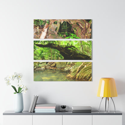 Deep Forest Explorations - Espiritu Santo View from Fallen Tree, Decaying tree and Trail Pond - El Yunque RainForest  - Nikon D850 - Tropical Rivers Triptych Acrylic Print – Panoramic Jungle Wall Aert